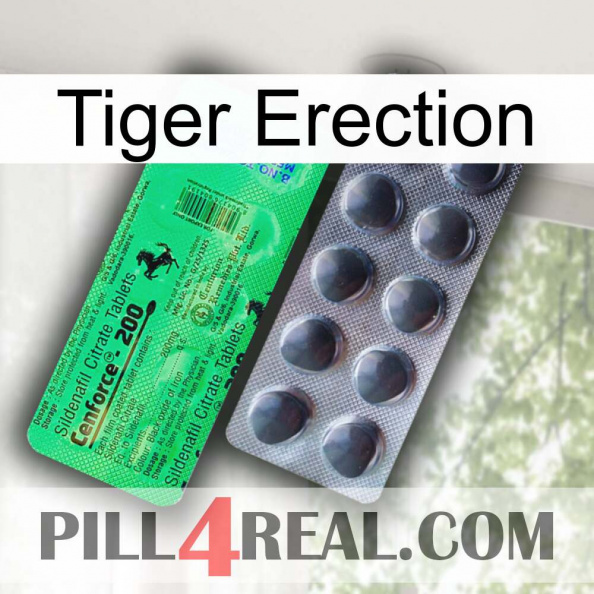 Tiger Erection new04.jpg